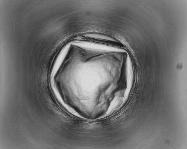 X0000094080249200711091221