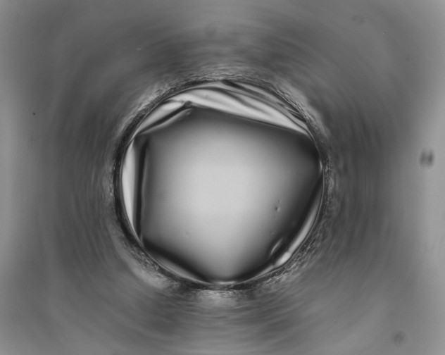 X0000094080250200711091221