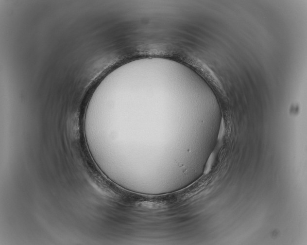 X0000094080251200711091221