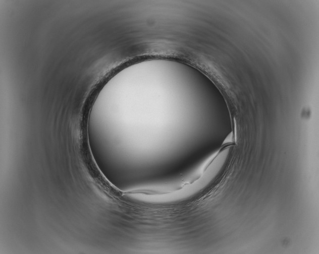X0000094080252200711091221