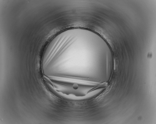 X0000094080253200711091221