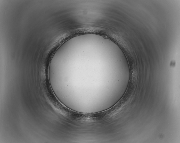 X0000094080254200711091221