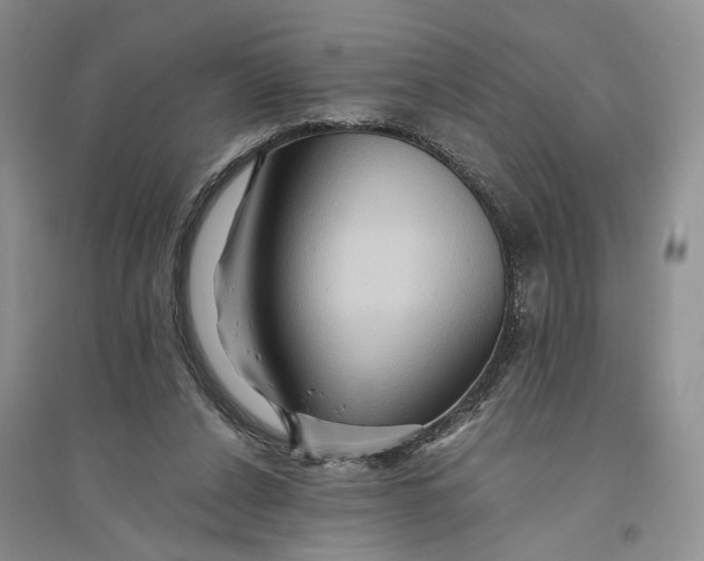 X0000094080256200711091221