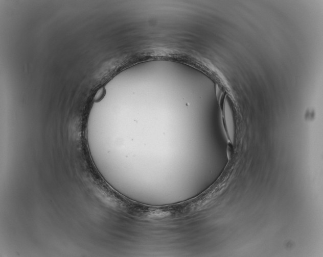X0000094080257200711091221