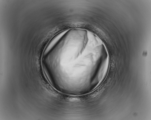 X0000094080258200711091221