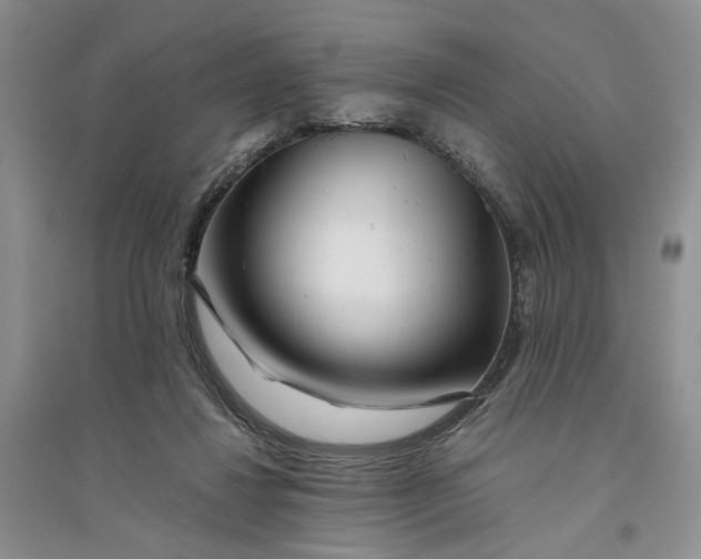 X0000094080260200711091221