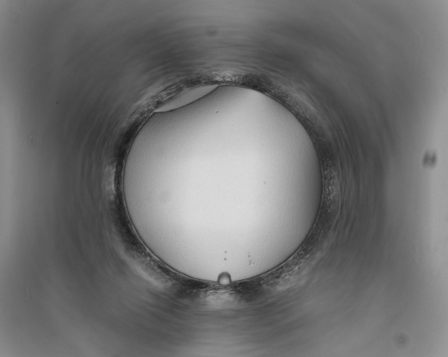 X0000094080262200711091222