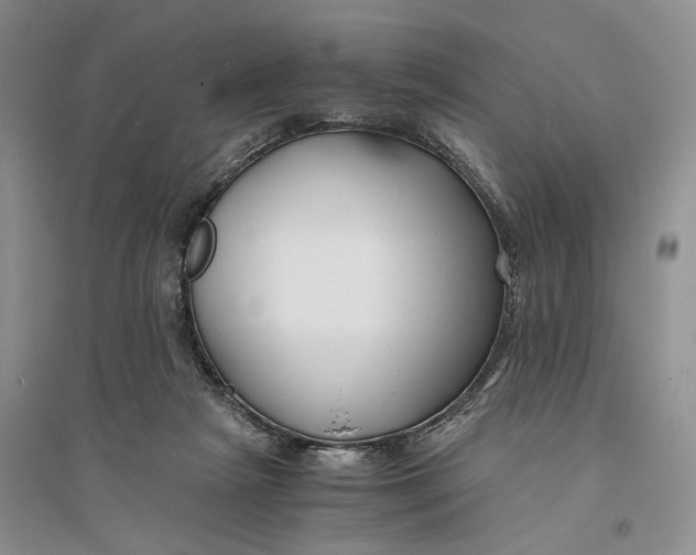 X0000094080265200711091222