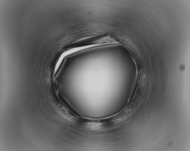X0000094080266200711091222