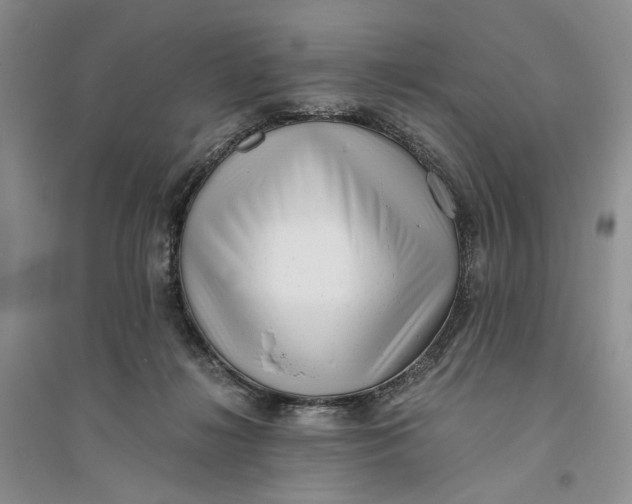 X0000094080268200711091222