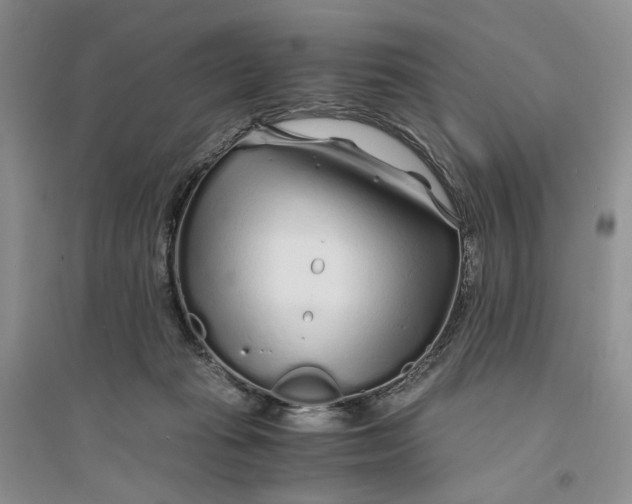 X0000094080269200711091222