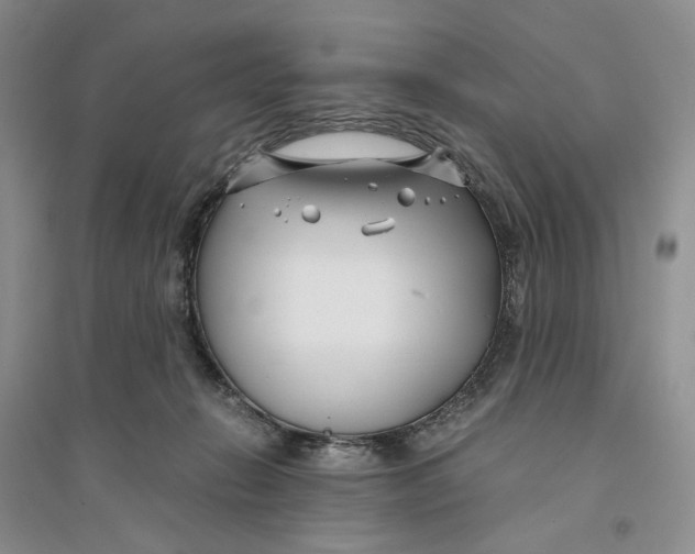 X0000094080270200711091222