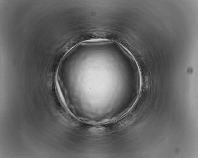 X0000094080271200711091222