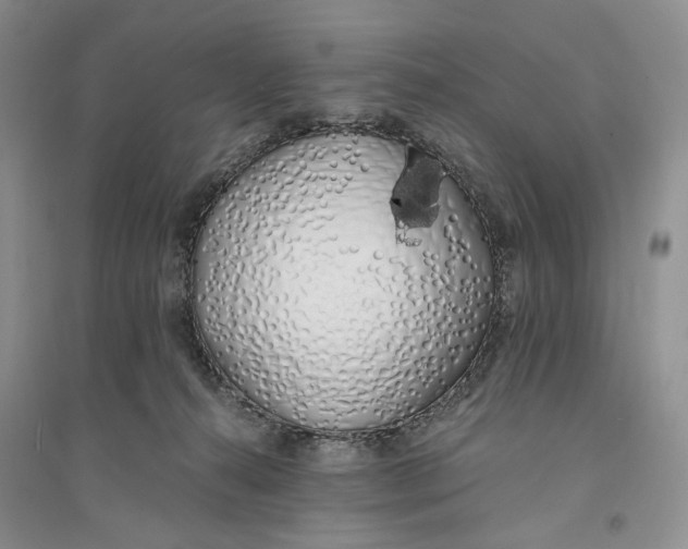 X0000094080272200711091222