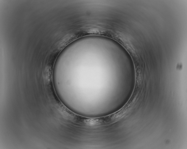 X0000094080273200711091222
