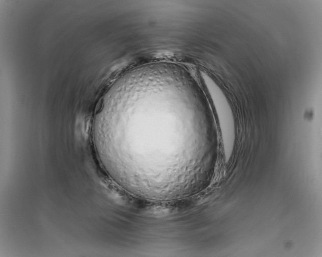 X0000094080276200711091222