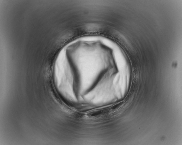 X0000094080277200711091222