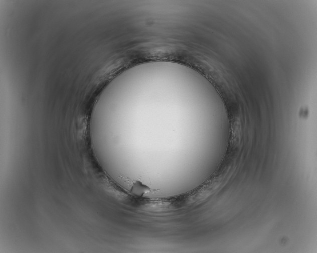 X0000094080278200711091222