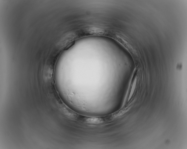 X0000094080281200711091222