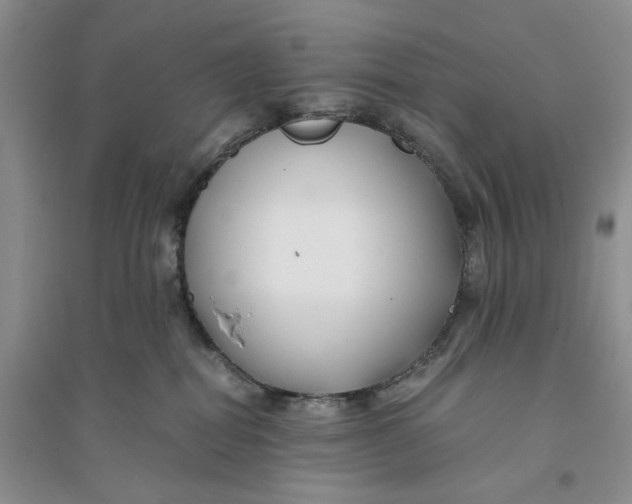 X0000094080282200711091222