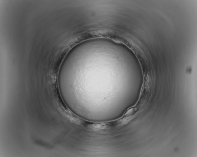 X0000094080284200711091222