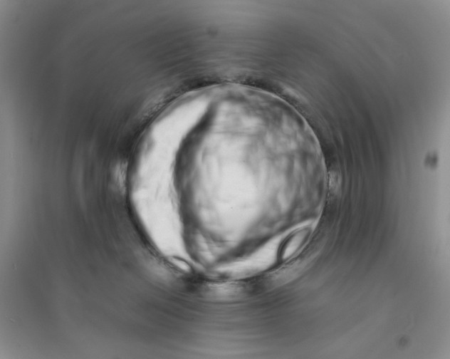 X0000094080286200711091222