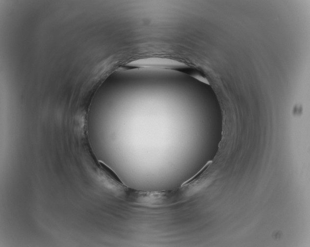 X0000094080288200711091222