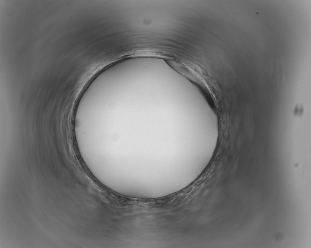 X0000094080289200711091221