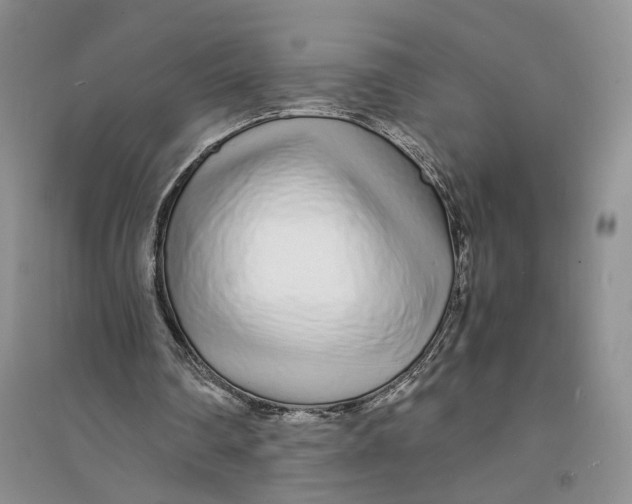 X0000094080290200711091221