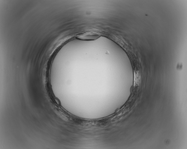 X0000094080291200711091221