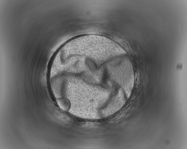 X0000094080292200711091221