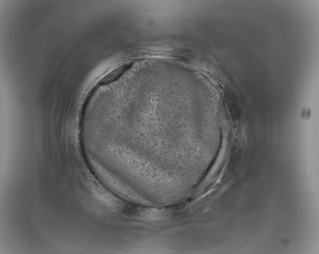 X0000094080293200711091221
