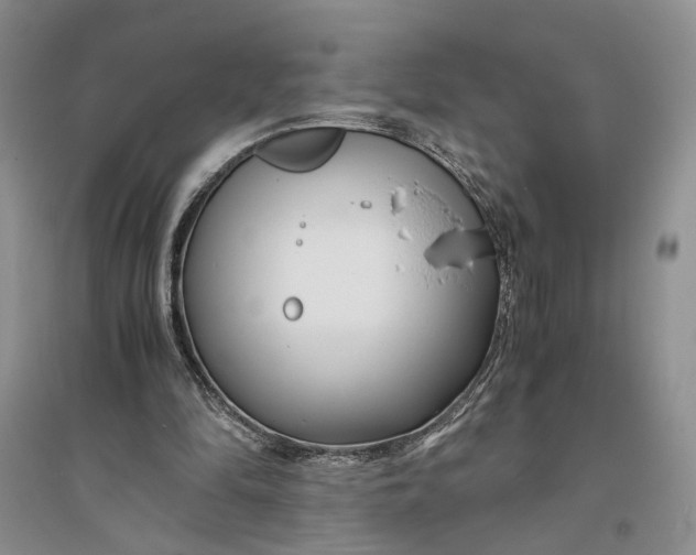 X0000094080294200711091221