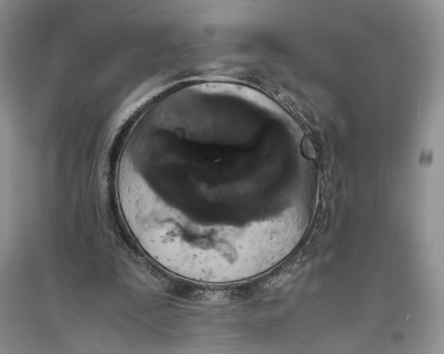X0000094080295200711091221