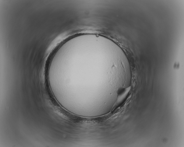 X0000094080296200711091221