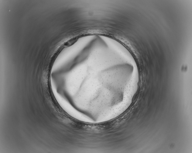 X0000094080297200711091221