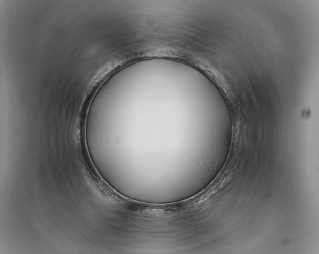 X0000094080298200711091221