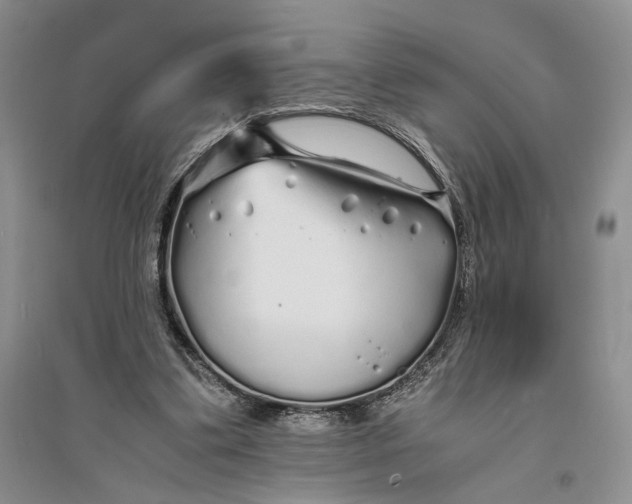 X0000094080299200711091221