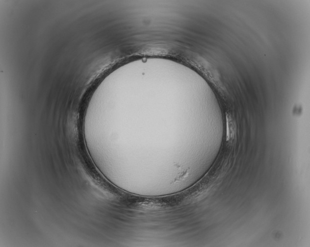 X0000094080300200711091221