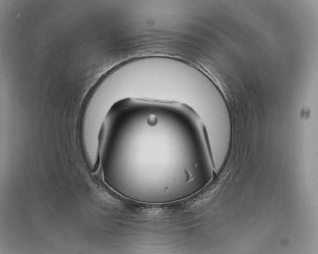 X0000094080301200711091221