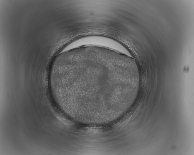 X0000094080303200711091221