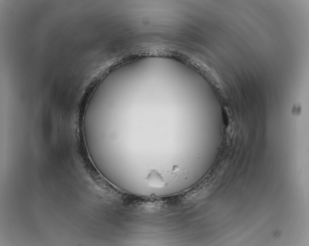 X0000094080306200711091221