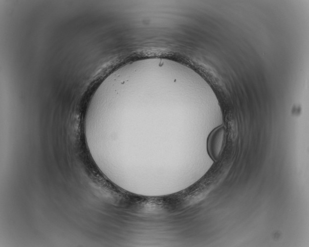 X0000094080308200711091221