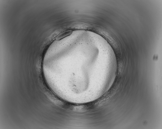 X0000094080309200711091221