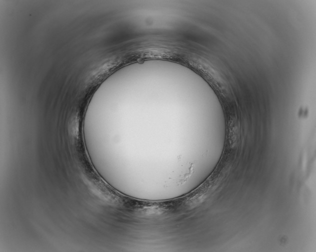 X0000094080310200711091221