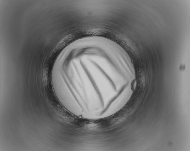 X0000094080312200711091221