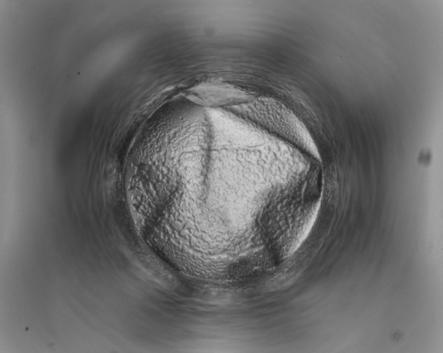 X0000094080314200711091221
