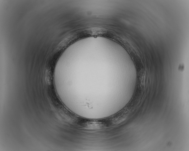 X0000094080316200711091221