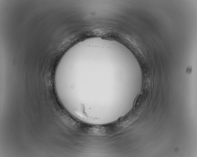 X0000094080317200711091221
