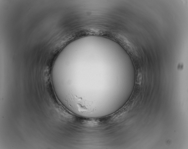 X0000094080318200711091221